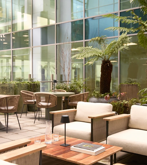 Outdoor breakout area with chairs, trees and plants