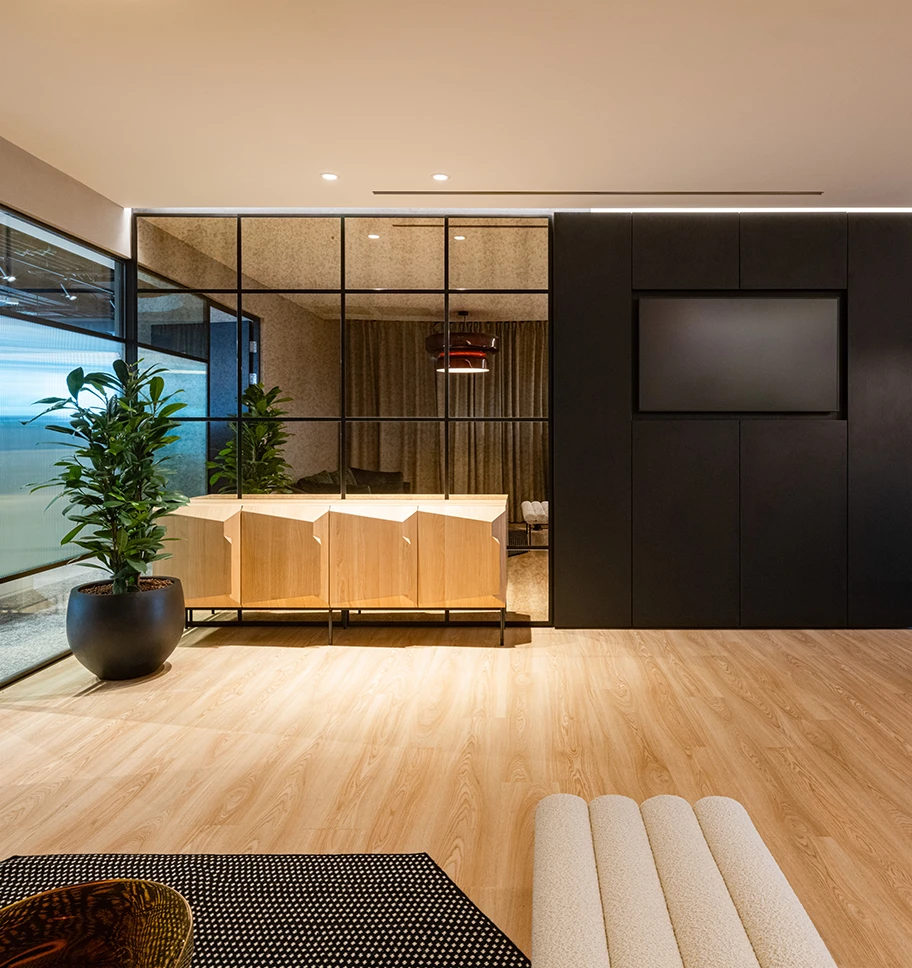 Interior space with m modern cupboard, mirror and plant.